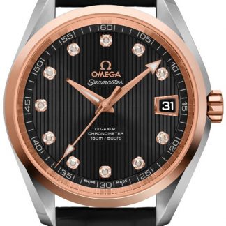 Omega Seamaster Aqua Terra Men's Luxury Watch  231.23.39.21.51.001