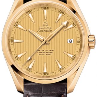 Omega Seamaster Aqua Terra Champagne Dial 18k Gold Men's Watch 231.53.42.21.08.001