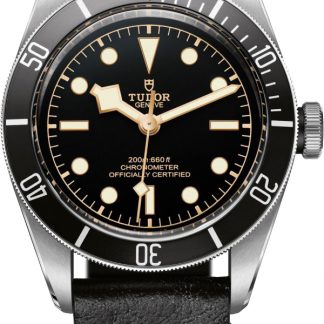 Tudor Heritage Black Bay M79230N-0001
